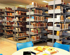 ficção – Bibliotecas do Maranhão